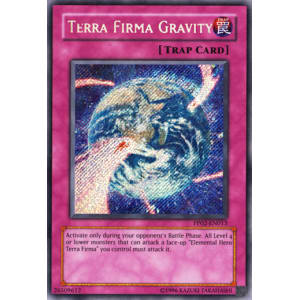 Terra Firma Gravity