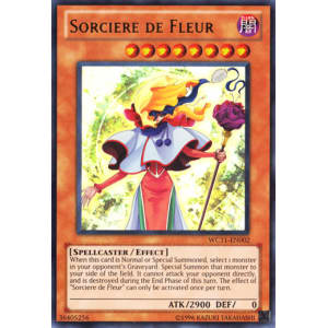 Sorciere De Fleur