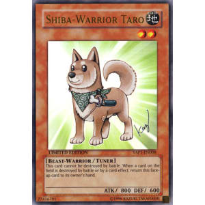 Shiba-Warrior Taro
