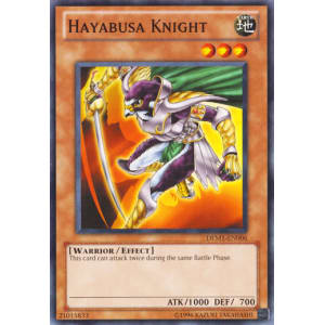 Hayabusa Knight