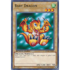 Baby Dragon
