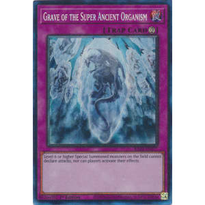Grave of the Super Ancient Organism (Collector's Rare)