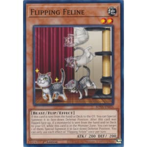 Flipping Feline