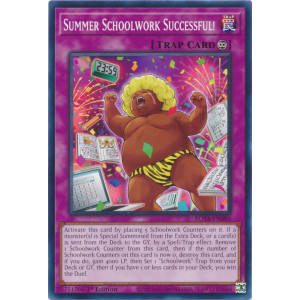 Summer Schoolwork Successful!