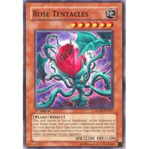 Rose Tentacles