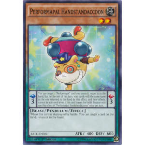 Performapal Handstandaccoon