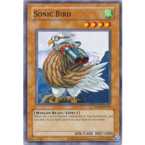 Sonic Bird (2020 Copyright Date)