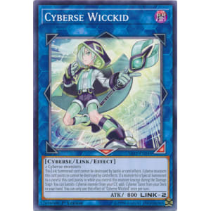 Cyberse Wicckid