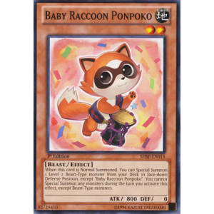 Baby Raccoon Ponpoko