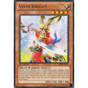 Vivid Knight