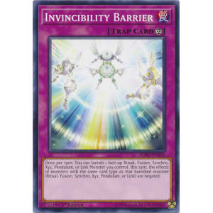 Invincibility Barrier