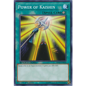 Power of Kaishin