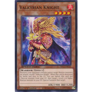Valkyrian Knight