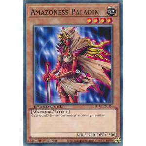 Amazoness Paladin