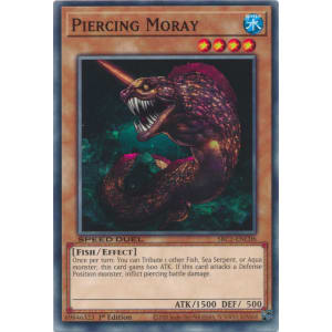 Piercing Moray
