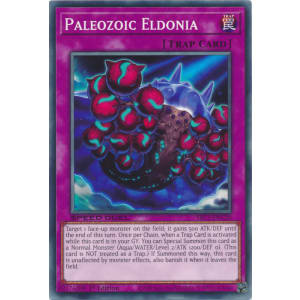 Paleozoic Eldonia