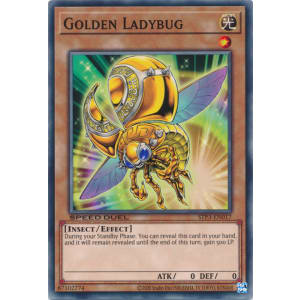 Golden Ladybug