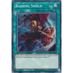 Bashing Shield