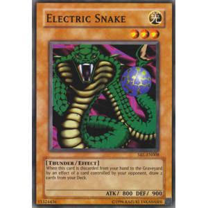 Electric Snake