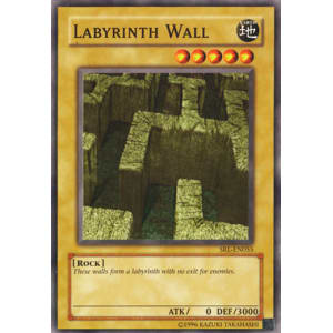 Labyrinth Wall