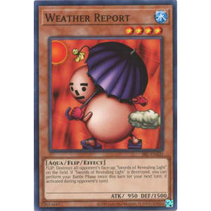 Weather Report (25th Anniversary Edition)