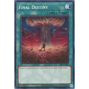 Final Destiny (25th Anniversary Edition)