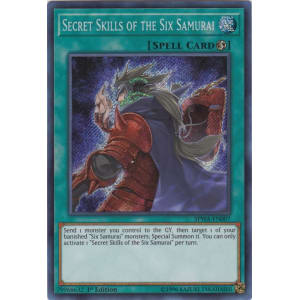 Secret Skills of the Six Samurai