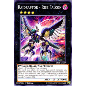 Raidraptor - Rise Falcon
