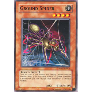 Ground Spider