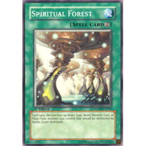 Spiritual Forest