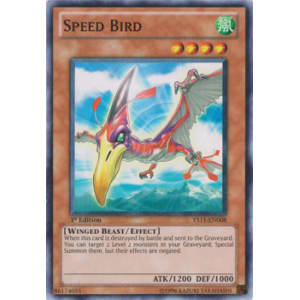 Speed Bird