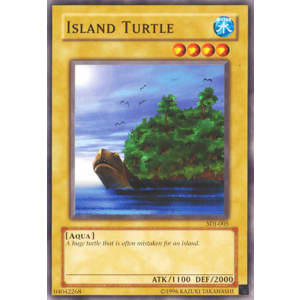 Island Turtle