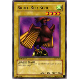 Skull Red Bird
