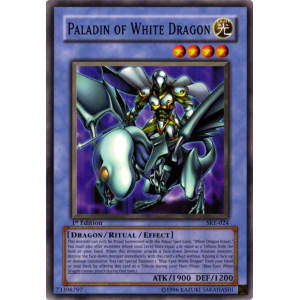 Paladin of White Dragon