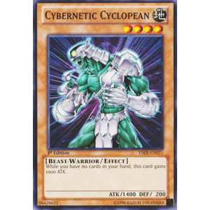 Cybernetic Cyclopean