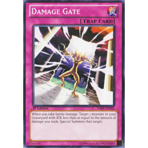 Damage Gate
