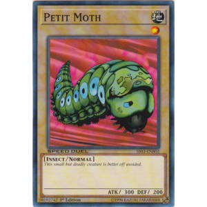 Petit Moth