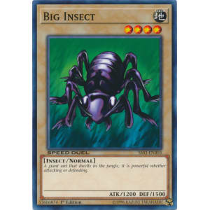 Big Insect
