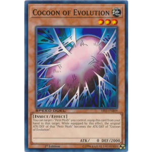 Cocoon of Evolution