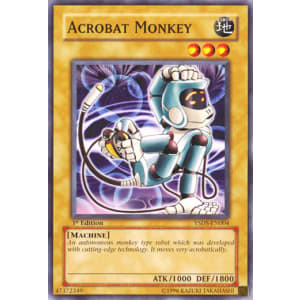Acrobat Monkey