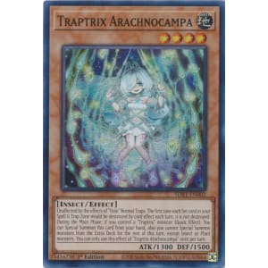 Traptrix Arachnocampa