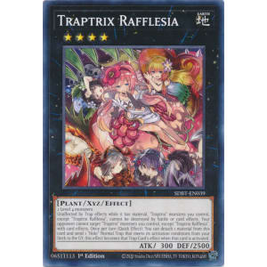 Traptrix Rafflesia