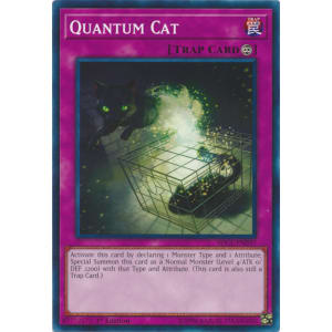 Quantum Cat