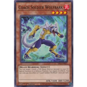 Coach Soldier Wolfbark