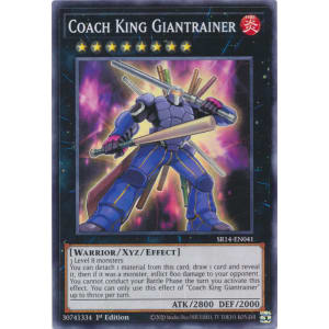 Coach King Giantrainer