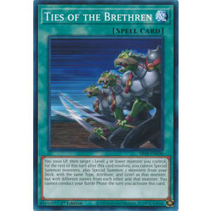 Ties of the Brethren