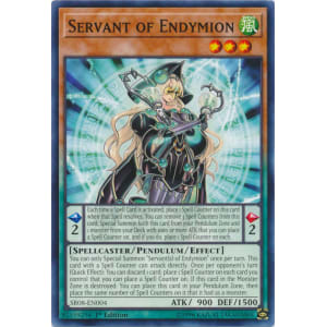 Servant of Endymion