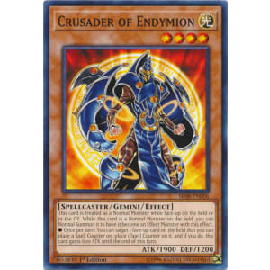 Crusader of Endymion