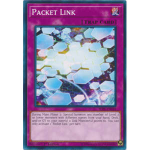 Packet Link