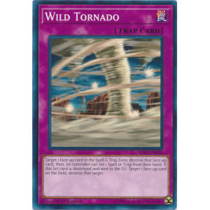 Wild Tornado